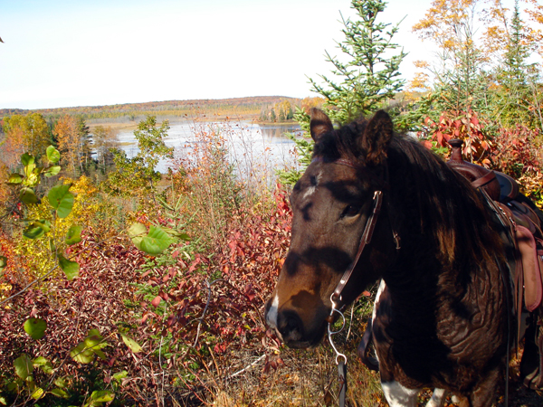 Stoney Creek Trail Ride Michigan